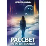 Постер книги Рассвет над заснеженным лесом