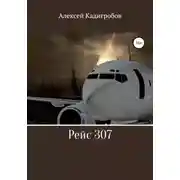Постер книги Рейс 307