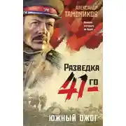 Постер книги Южный ожог