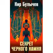 Постер книги Секрет черного камня