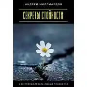 Постер книги Секреты стойкости. Как преодолевать любые трудности