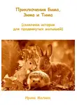 Ирина Малина - Приключения Бима, Зима и Тима. Сказочная история для продвинутых малышей