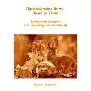 Постер книги Приключения Бима, Зима и Тима. Сказочная история для продвинутых малышей