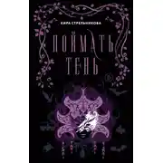 Постер книги Поймать Тень