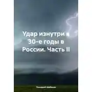 Постер книги Удар изнутри в 30-е годы в России. Часть II