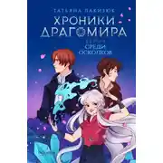 Постер книги Хроники Драгомира. Книга 3. Среди осколков
