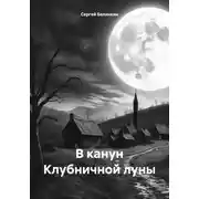 Постер книги В канун Клубничной луны