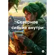Постер книги Северное сияние внутри