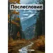 Постер книги Послесловие