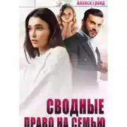 Постер книги Сводные. Право на семью
