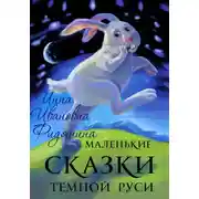 Постер книги Маленькие сказки темной Руси