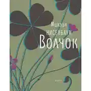 Постер книги Волчок