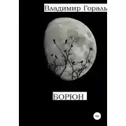 Постер книги Борюн