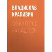 Постер книги Синий город на Садовой