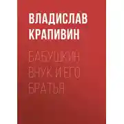 Постер книги Бабушкин внук и его братья
