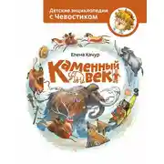 Постер книги Каменный век