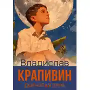 Постер книги Дырчатая Луна