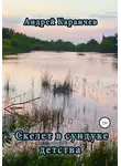 Караичев Андрей - Скелет в сундуке детства