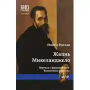 Постер книги Жизнь Микеланджело