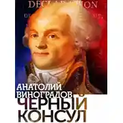 Постер книги Черный консул