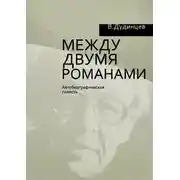 Постер книги Между двумя романами