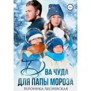 Постер книги Два чуда для Папы Мороза