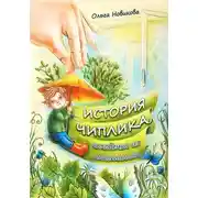 Постер книги История Чиплика, человечка из пластилина