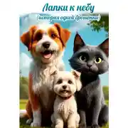 Постер книги Лапки к небу