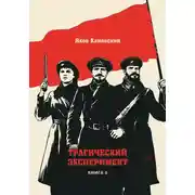 Постер книги Трагический эксперимент. Книга 6.