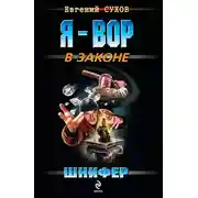 Постер книги Шнифер