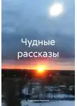 Владимир Гасимов - Чудные рассказы