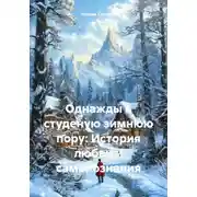 Постер книги Однажды в студеную зимнюю пору: История любви и самопознания