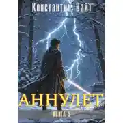 Постер книги Паладин