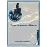 Постер книги Прикосновение к Николь