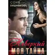Постер книги Неверный. Моя тайна