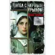 Постер книги Ангел с черным крылом