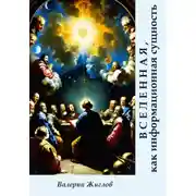 Постер книги Вселенная, как информационная сущность