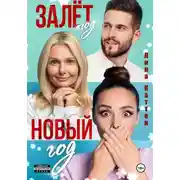 Постер книги Залёт под Новый год