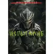 Постер книги Испытание