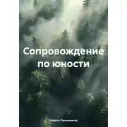 Постер книги Сопровождение по юности