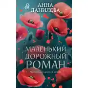 Постер книги Маленький дорожный роман