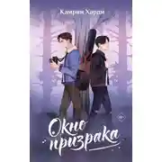 Постер книги Окно призрака