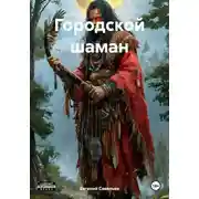 Постер книги Городской шаман