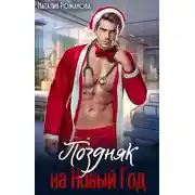 Постер книги Поздняк на Новый год