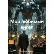 Постер книги Мой любимый ангел