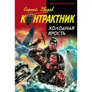 Постер книги Холодная ярость