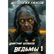 Постер книги Ведьмы