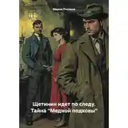 Постер книги Щетинин идет по следу. Тайна «Медной подковы»