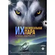 Постер книги Их (не)идеальная пара