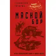 Постер книги Мясной Бор